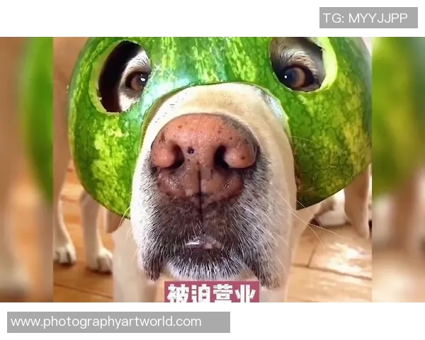 足球明星搞笑瞬间大盘点笑翻全场的趣味视频合集